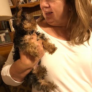 Meet your Posher, Diane